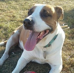 Meet your Posher, Lindsey